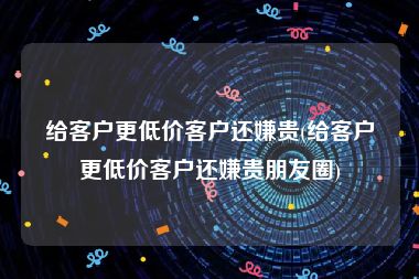 给客户更低价客户还嫌贵(给客户更低价客户还嫌贵朋友圈)