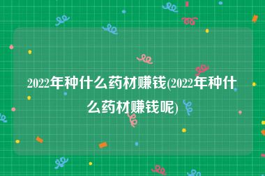 2022年种什么药材赚钱(2022年种什么药材赚钱呢)