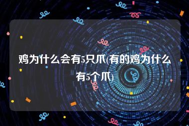 鸡为什么会有5只爪(有的鸡为什么有5个爪)