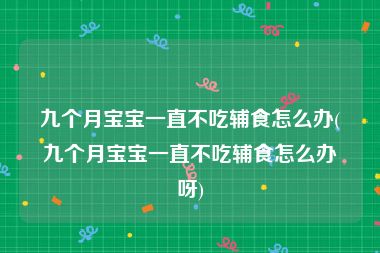 九个月宝宝一直不吃辅食怎么办(九个月宝宝一直不吃辅食怎么办呀)