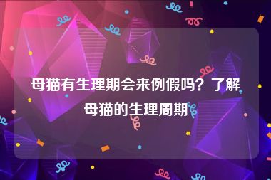 母猫有生理期会来例假吗？了解母猫的生理周期