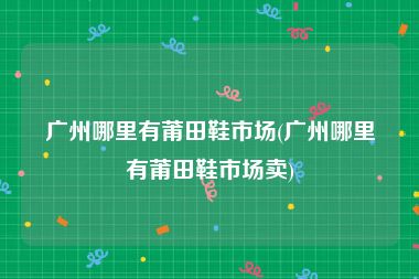 广州哪里有莆田鞋市场(广州哪里有莆田鞋市场卖)