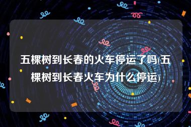 五棵树到长春的火车停运了吗(五棵树到长春火车为什么停运)