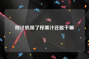 榨汁机除了榨果汁还能干嘛