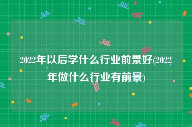 2022年以后学什么行业前景好(2022年做什么行业有前景)