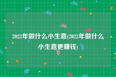 2022年做什么小生意(2022年做什么小生意更赚钱)