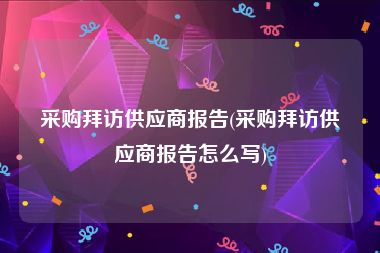 采购拜访供应商报告(采购拜访供应商报告怎么写)