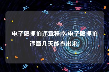 电子眼抓拍违章程序(电子眼抓拍违章几天能查出来)