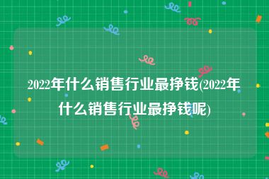 2022年什么销售行业最挣钱(2022年什么销售行业最挣钱呢)