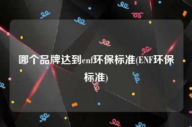 哪个品牌达到enf环保标准(ENF环保标准)