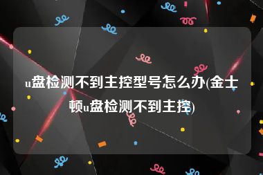 u盘检测不到主控型号怎么办(金士顿u盘检测不到主控)