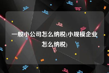 一般小公司怎么纳税(小规模企业怎么纳税)