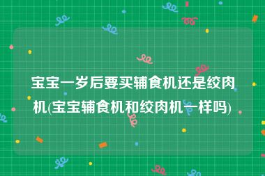 宝宝一岁后要买辅食机还是绞肉机(宝宝辅食机和绞肉机一样吗)