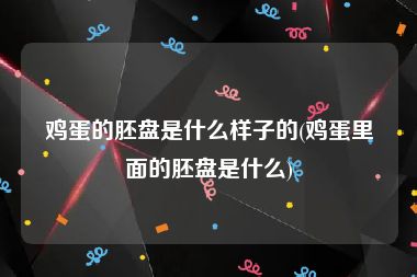 鸡蛋的胚盘是什么样子的(鸡蛋里面的胚盘是什么)