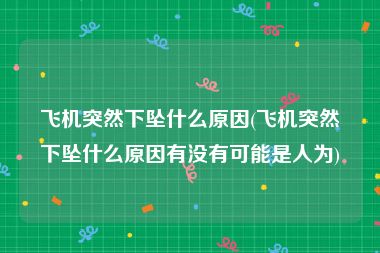 飞机突然下坠什么原因(飞机突然下坠什么原因有没有可能是人为)