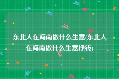 东北人在海南做什么生意(东北人在海南做什么生意挣钱)