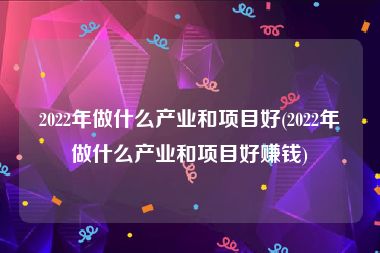 2022年做什么产业和项目好(2022年做什么产业和项目好赚钱)