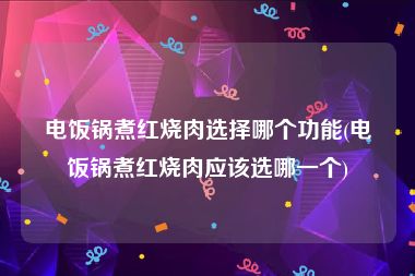 电饭锅煮红烧肉选择哪个功能(电饭锅煮红烧肉应该选哪一个)