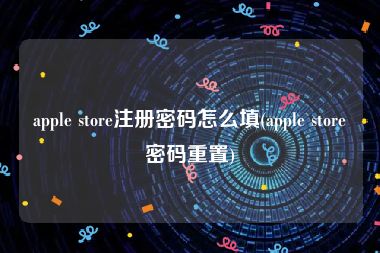 apple store注册密码怎么填(apple store密码重置)