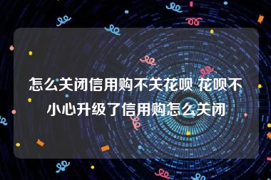 怎么关闭信用购不关花呗 花呗不小心升级了信用购怎么关闭