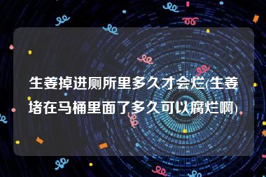 生姜掉进厕所里多久才会烂(生姜堵在马桶里面了多久可以腐烂啊)