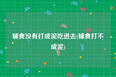 辅食没有打成泥吃进去(辅食打不成泥)