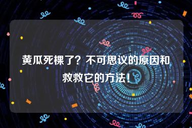 黄瓜死棵了？不可思议的原因和救救它的方法！