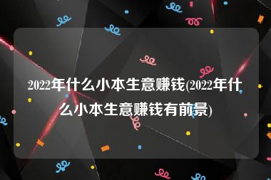 2022年什么小本生意赚钱(2022年什么小本生意赚钱有前景)