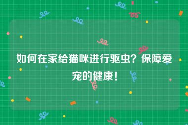 如何在家给猫咪进行驱虫？保障爱宠的健康！