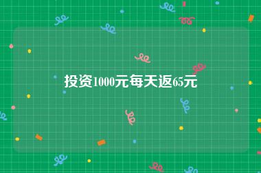 投资1000元每天返65元