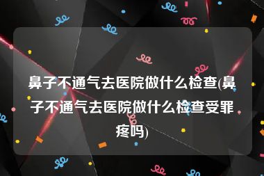 鼻子不通气去医院做什么检查(鼻子不通气去医院做什么检查受罪疼吗)