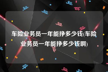 车险业务员一年能挣多少钱(车险业务员一年能挣多少钱啊)