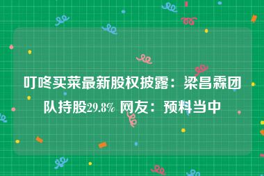 叮咚买菜最新股权披露：梁昌霖团队持股29.8% 网友：预料当中